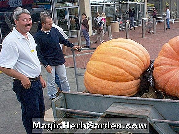 Australian Giant Pumpkin & Vegetable Society Inc