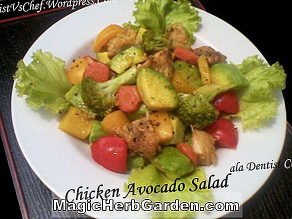 Tomat dan Salad Alpukat - Heirloom Tomato